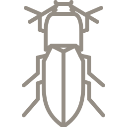 Zhuk X9i5hrov9bzc 256
